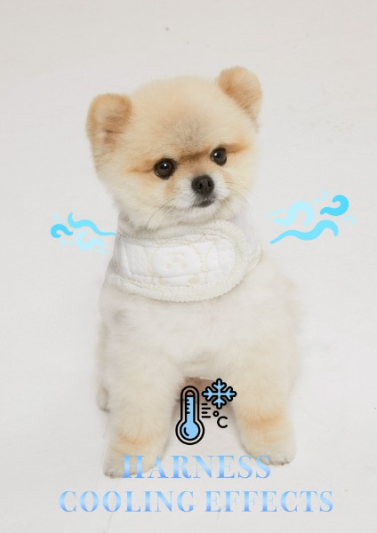 [Summer collection] Cooling effects Teddy Harness